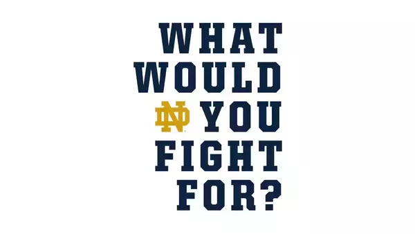 Navy blue text forms the question 'What Would You Fight For?' with the 'ND' rendered as a gold interlocking logo.